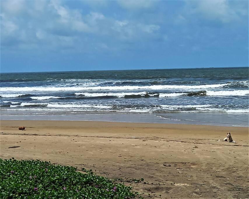 Cockerel Homestay - Traditional Beach Village - Goa Canacona Exterior photo